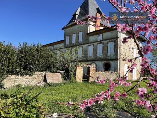Vente                                                      Château
                        
                     10 pièces                      805 m2                     à Carbonne
