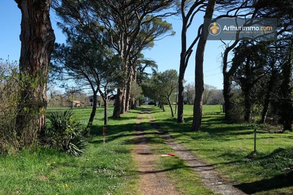 Vente                                                      Château
                        
                     10 pièces                      805 m2                     à Carbonne