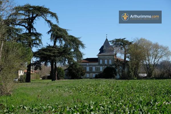 Vente                                                      Château
                        
                     10 pièces                      805 m2                     à Carbonne