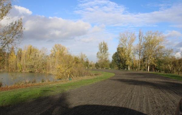Vente Propriété EQUESTRE SUR 11 HECTARES Beaumont-de-lomagne   