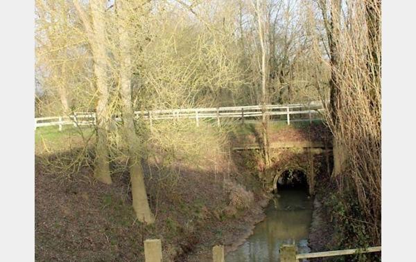 Vente Propriété EQUESTRE SUR 11 HECTARES Beaumont-de-lomagne   