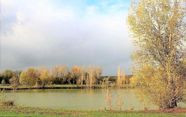 Vente Propriété EQUESTRE SUR 11 HECTARES Beaumont-de-lomagne   