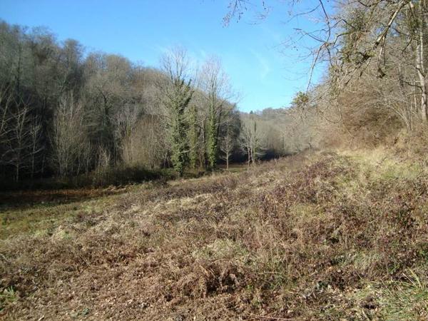 Terrain à vendre |  Jurançon |  101027 m²