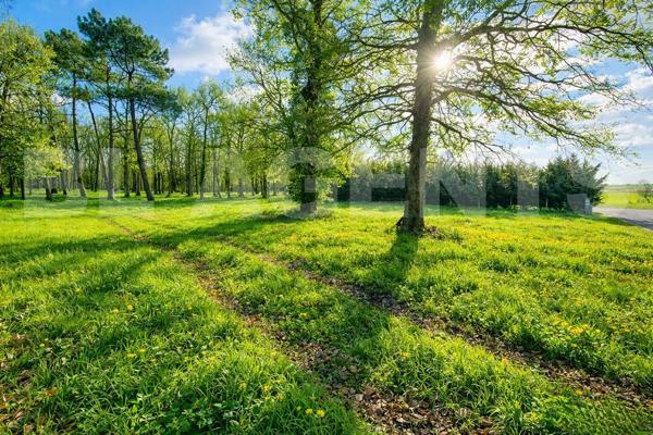 TERRAIN CONSTRUCTIBLE VIABILISÉ