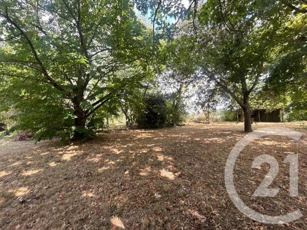 Maison à vendre  5 pièces - 255 m2 MONTECH - 82