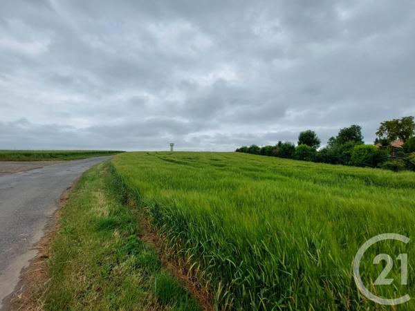 Terrain à vendre  1000 m2 PITHIVIERS - 45