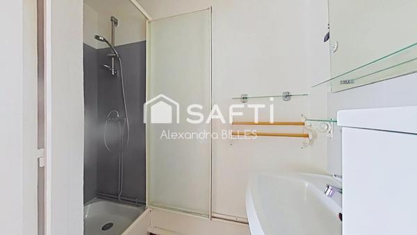 Appartement 3 pièces : 1 chambre + 1 cabine + meazzanine.