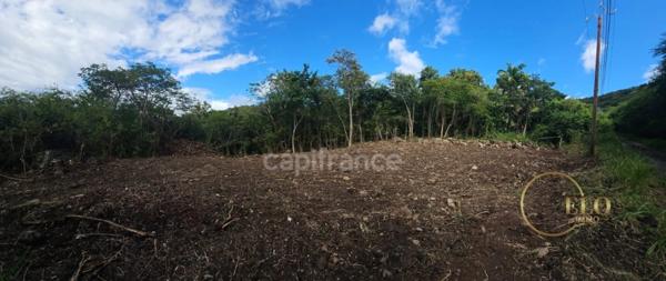 Terrain à vendre BOUILLANTE (971)