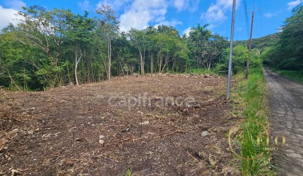 Terrain à vendre BOUILLANTE (971)