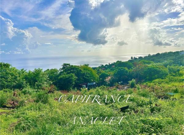 Terrain à vendre Magnifique Vue Mer BELLEFONTAINE (972)