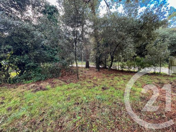 Terrain à vendre  1024 m2 OLONNE SUR MER - 85