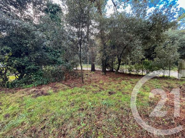 Terrain à vendre  1024 m2 OLONNE SUR MER - 85