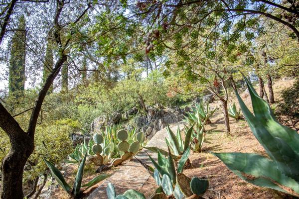 Vente Villa de luxe Nice 7 Pièces 312 m²