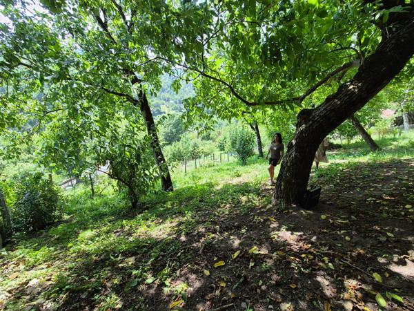 Maison à vendre 4 pièces (12)