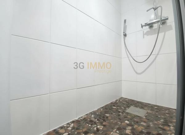 Vente / Duplex à Annemasse (74100)