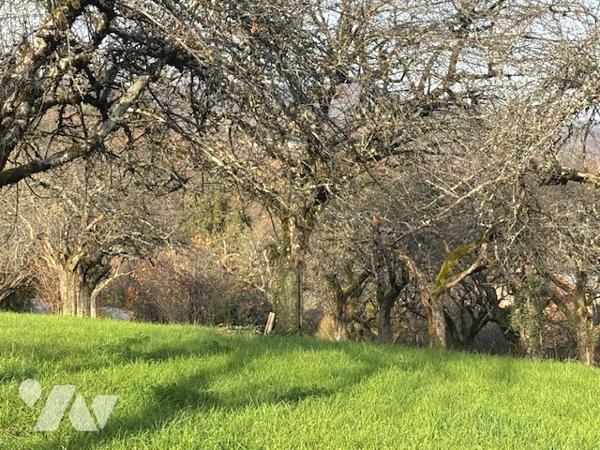 EXCLUSIVITE:ALBERTVILLE-TERRAIN 711 M²-VIABILISE- CALME