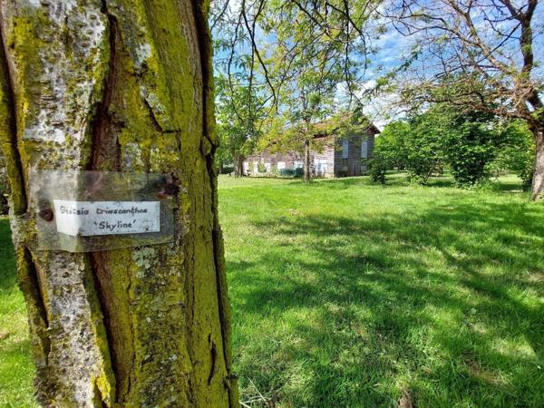 Maison rurale à vendre à Saint-Antoine-de-Breuilh en Dordogne (24230), ref : 18113/62 Maison rurale à vendre à Saint-Antoine-de-Breuilh en Dordogne (24230), ref : 18113/62