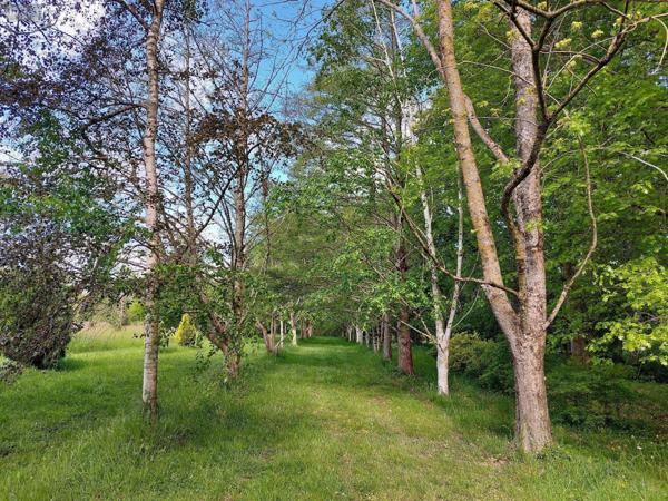 Maison rurale à vendre à Saint-Antoine-de-Breuilh en Dordogne (24230), ref : 18113/62 Maison rurale à vendre à Saint-Antoine-de-Breuilh en Dordogne (24230), ref : 18113/62