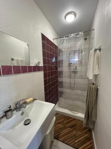 Maison 130 m² - 2 appartements indépendants, lots créés  - Roanne