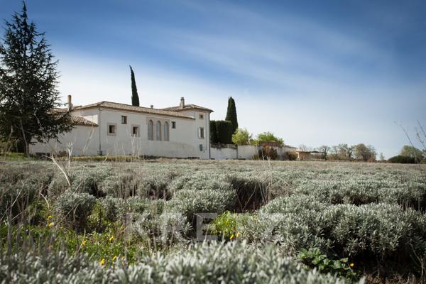 Propriété d’exception en Drôme Provençale – À 10 minutes de Grignan