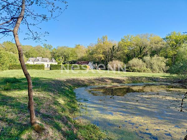 Demeure d'exception avec parc, pièce d'eau et dépendance, coup de coeur assuré - A deux pas du château de CHEVERNY