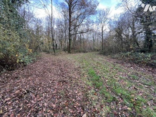 Bois d'environ 7,5ha