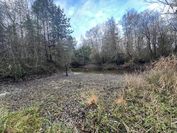 Bois d'environ 7,5ha