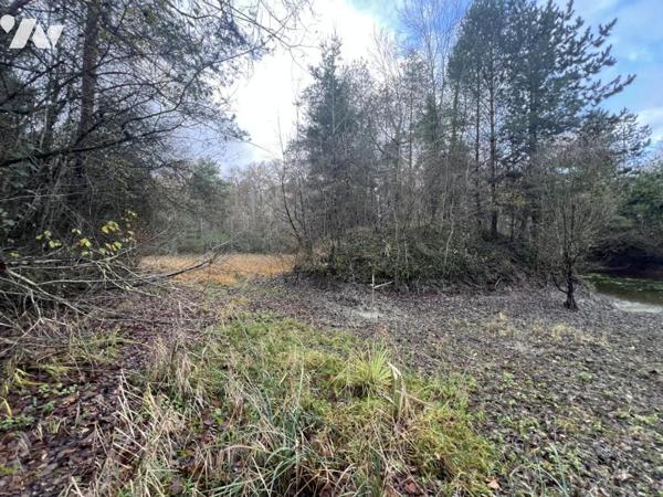 Bois d'environ 7,5ha