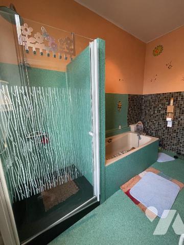 Maison de maître, centre-ville LA FERTE MACE