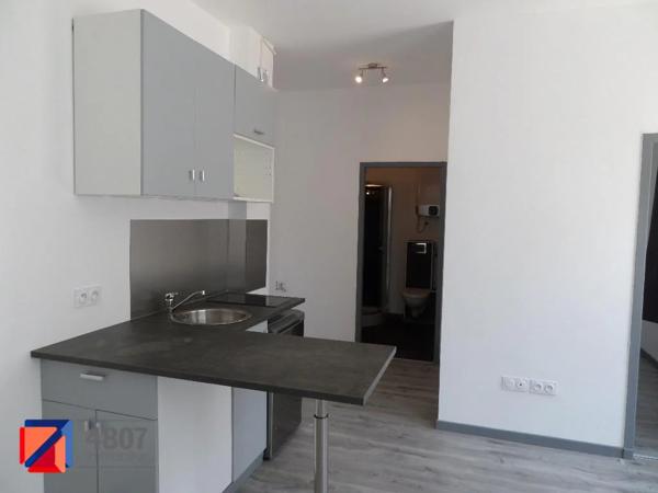 Appartement à louer à Annecy (74000)