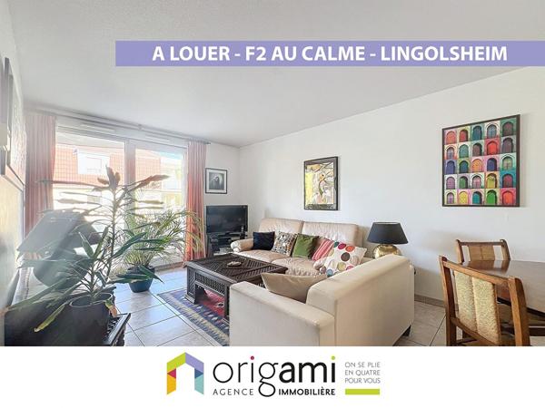 Nouveatuté - Charmant F2 à Louer Lingolsheim Lingolsheim