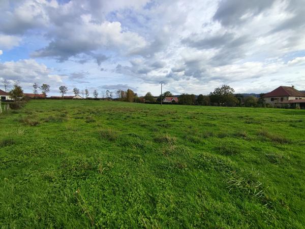 Terrain Tourmont 1512 m2 , borné, viabilisé.... à 5 km de Poligny