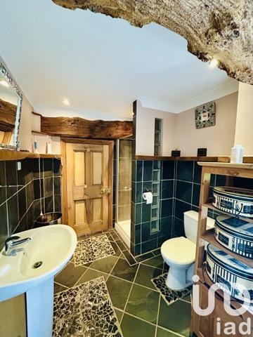 Maison à vendre 7 pièces 245 m² Le Ferré