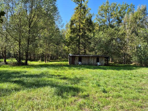 Magnifique terrain de loisir