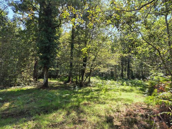 Magnifique terrain de loisir