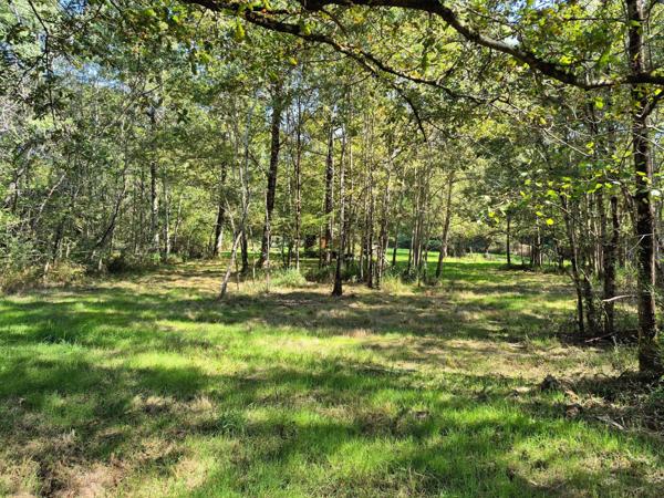 Magnifique terrain de loisir