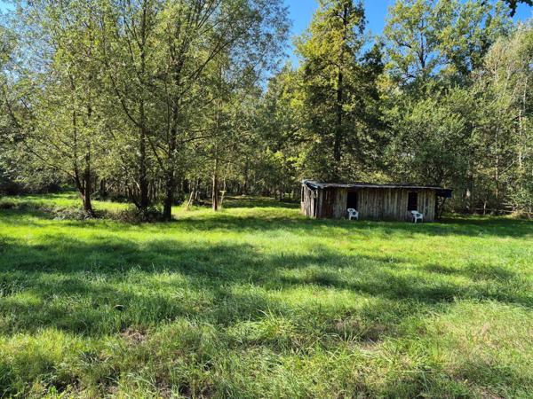 Magnifique terrain de loisir