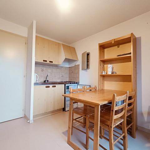 Un studio d’exception situé au cœur d’une station de ski à Thollon-les-Mémises !