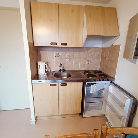 Un studio d’exception situé au cœur d’une station de ski à Thollon-les-Mémises !