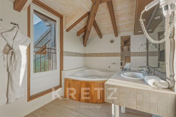 Château de Savoie, sentinelle historique entre Albertville et Chambéry.