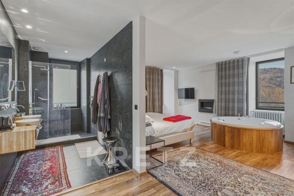 Château de Savoie, sentinelle historique entre Albertville et Chambéry.