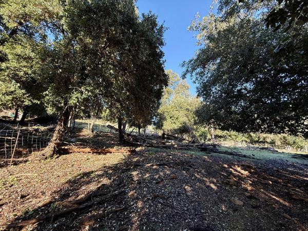 SERRIERA (Corse) : A vendre, terrain à batir, à 2 minutes du centre du village et à 5 minutes de la plage.