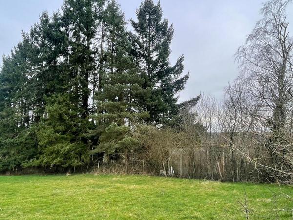 Terrain de loisirs Chateau Renard