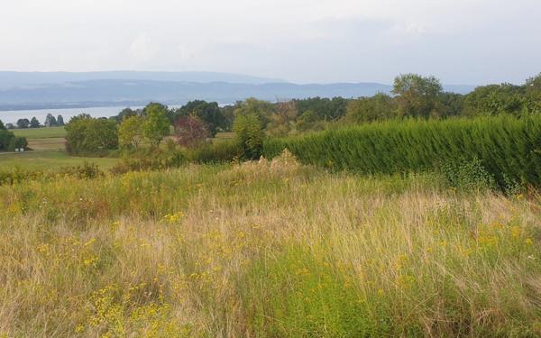 Maison à vendre    4 pièces • 114 m2 Messery