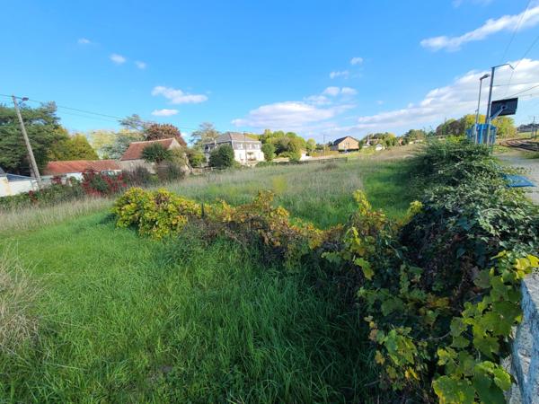 Terrain à vendre de 10 774,00 m² NERONDES (18)