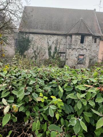 Vente Immeuble à Bergheim