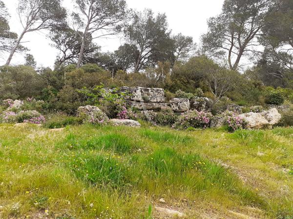 Terrain Istres 548 m2