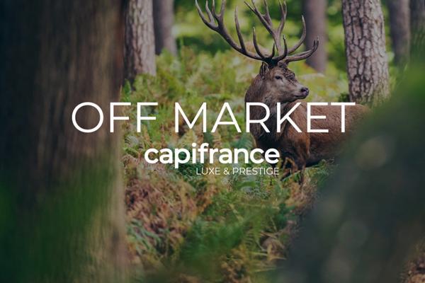 A vendre Bordeaux Cauderan - TERRAIN A BATIR de 1200 m2 environ non viabilisé - plat et arboré - piscinable