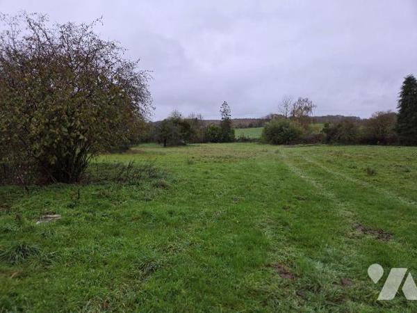 CHAMPEON- En campagne, pavillon sur sous-sol avec accès de plain pied sur plus d'un hectare de ...