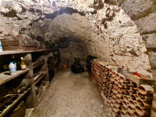 Maison à vendre à Montoire-sur-le-Loir dans le Loir-et-Cher (41800), ref : 41059-865